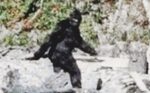 Bigfoot looked like a weird naked chick