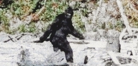 Bigfoot looked like a weird naked chick